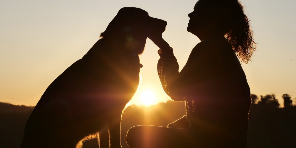 Pet Bereavement